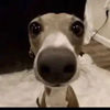 dannyjr0806
